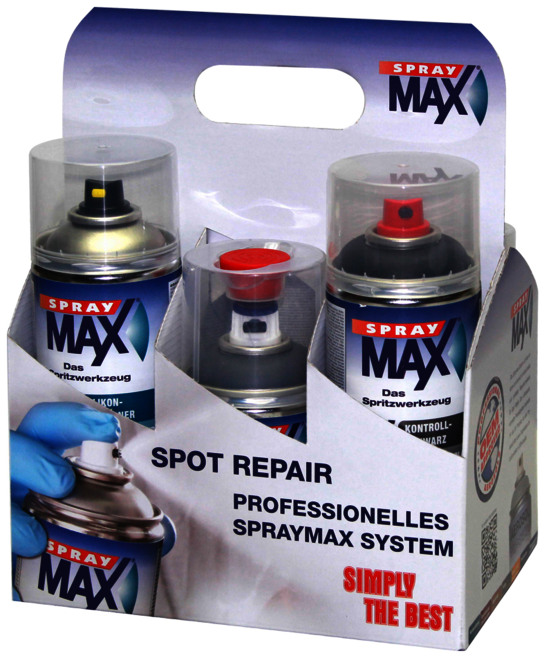 SprayMax Sixpack Spot-Repair Kit